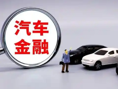 双港押车贷款不是本人可以么?